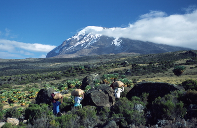 Maranguroute, Kilimanjaro