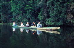 Lake Madidi, Amazonas